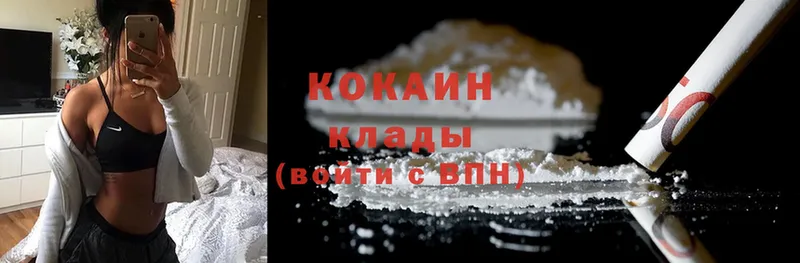 дарк нет официальный сайт  Бабушкин  Cocaine Fish Scale 