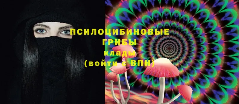 Псилоцибиновые грибы Psilocybine cubensis Бабушкин